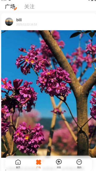 取伙交友软件下载