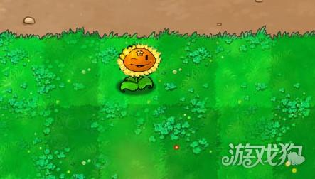 植物大战僵尸杨桃版游戏新增植物介绍5
