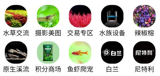 尼特利水族圈安卓版app