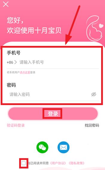 十月宝贝孕妇版最新版本