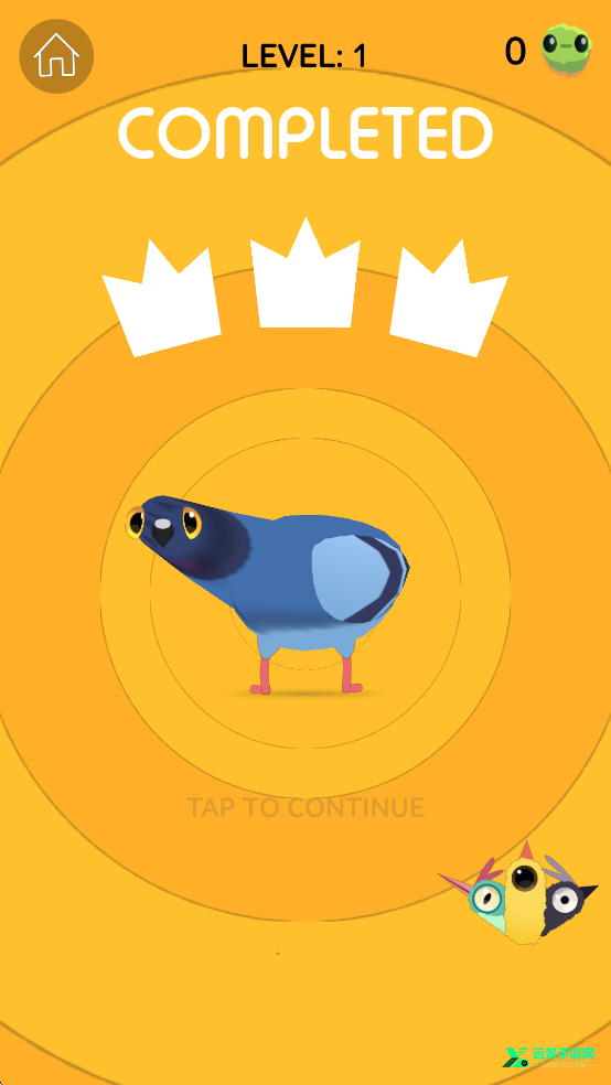 疯狂的鸽子pigeonpop