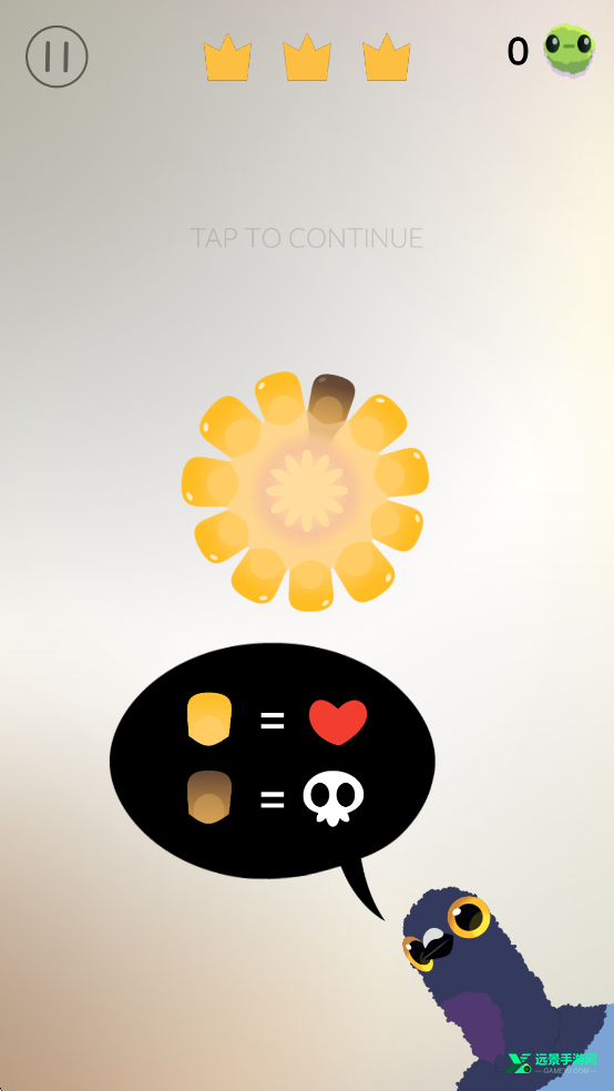 疯狂的鸽子pigeonpop