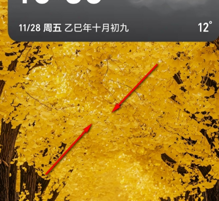 荣耀图库app官方版 荣耀图库app官方版