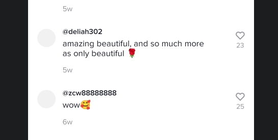 tiktok国际版破解版