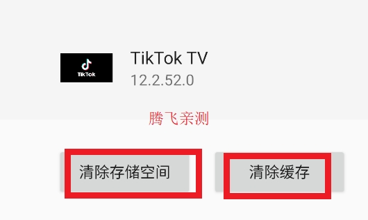 TikTok TV版