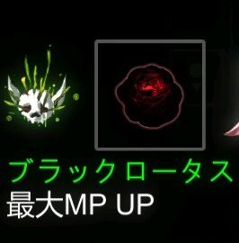 圣骑士莉卡物语安卓汉化版