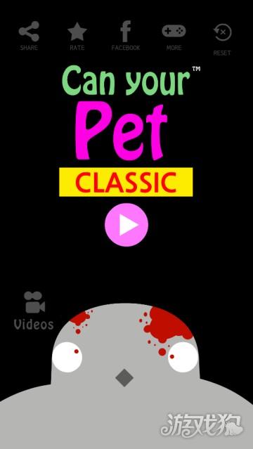 养只小黄鸡游戏玩法8