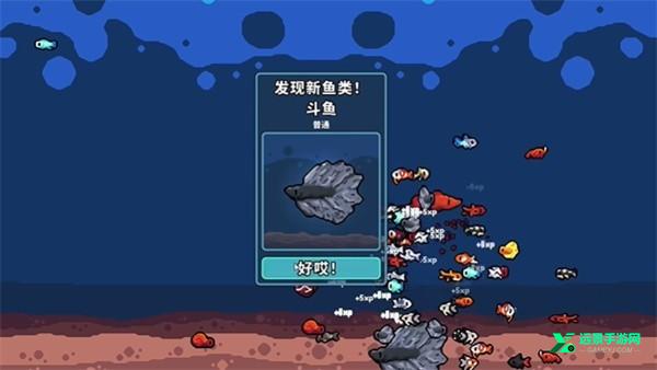 轻松水族馆手机版