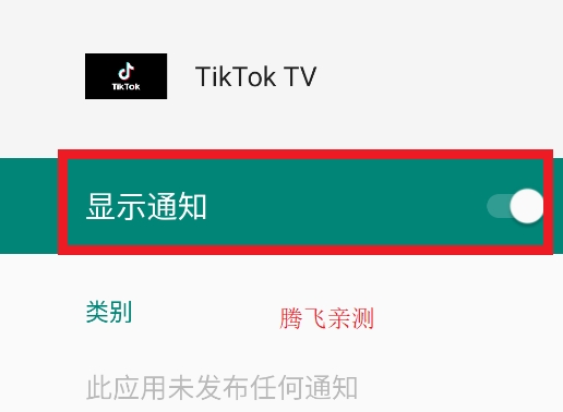 TikTok TV版