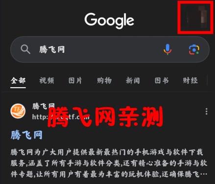 Google谷歌搜索手机版