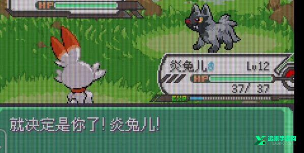 精灵宝可梦绿宝石增强版