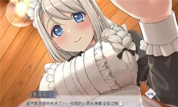 我与索菲亚的秘密游戏玩法-4