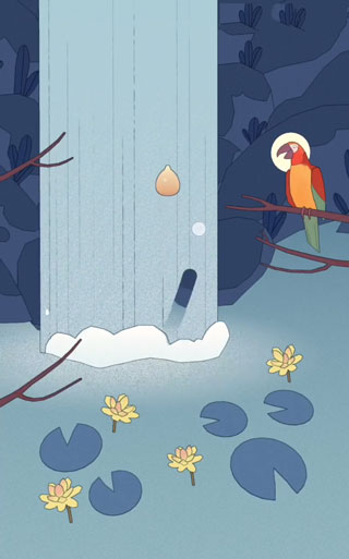 孤独的鸟儿正版