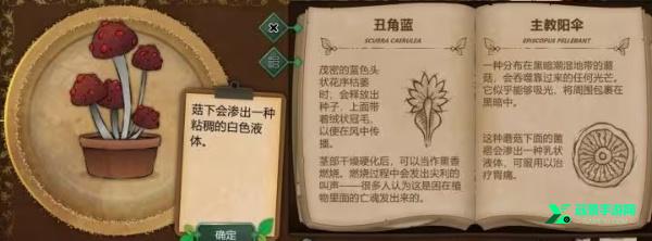 奇异园艺完整版