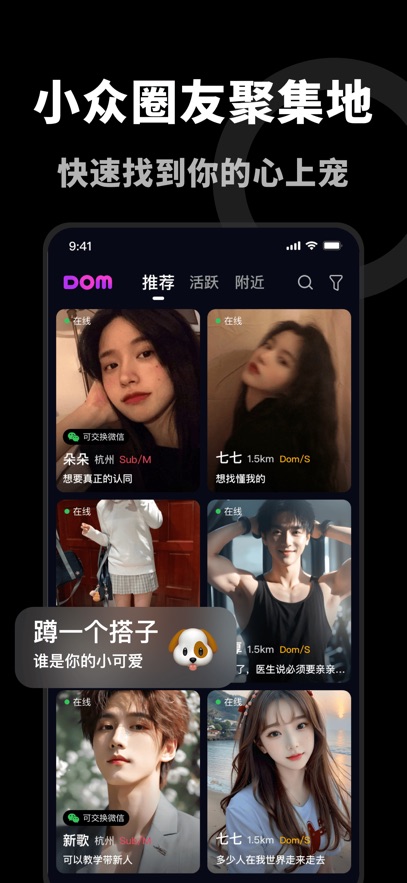 Dom交友平台软件 Dom交友平台软件