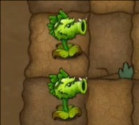 植物大战僵尸融合Expand版