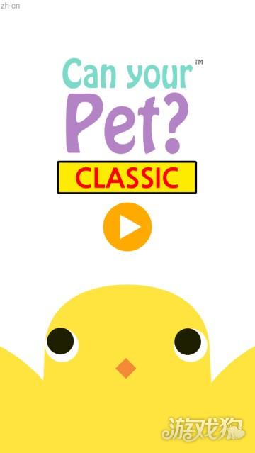 养只小黄鸡游戏玩法1