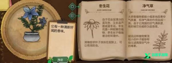 奇异园艺完整版