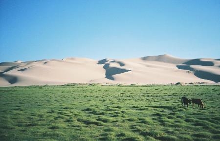 三星相册安卓版