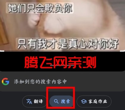 Google谷歌搜索手机版