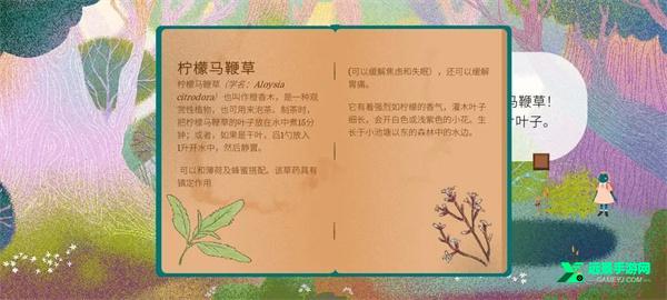 茶杯物语中文版