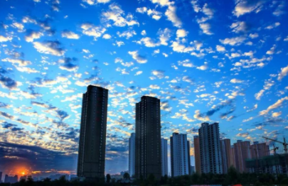 并州新闻客户端下载安装手机版