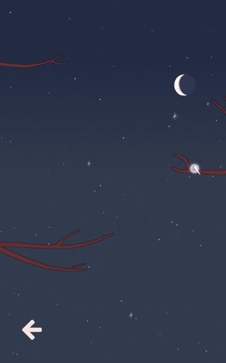 孤独的鸟儿正版