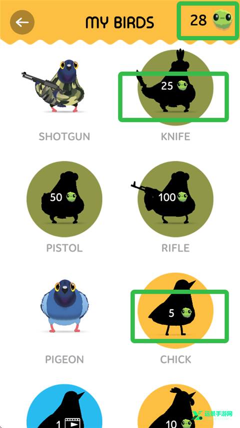 疯狂的鸽子pigeonpop