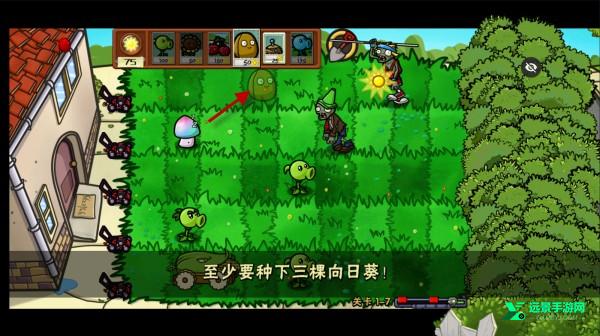 植物大战僵尸噩梦版