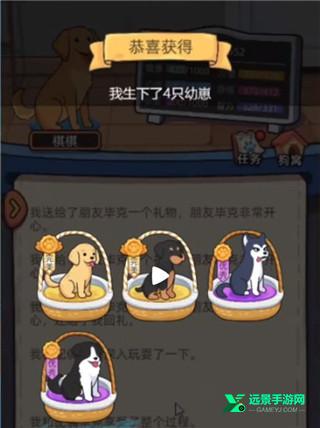 狗生模拟器正版