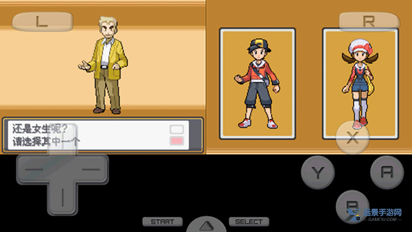 口袋妖怪心金魂银汉化版