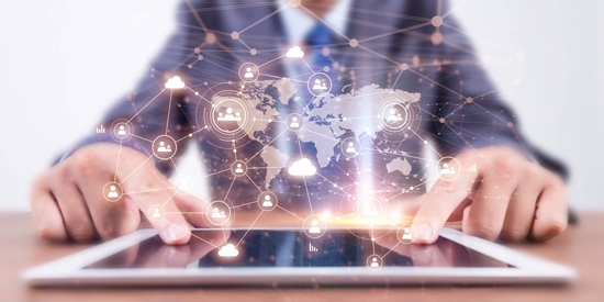 Whalek软件最新版