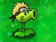 植物大战僵尸火影版菜单版