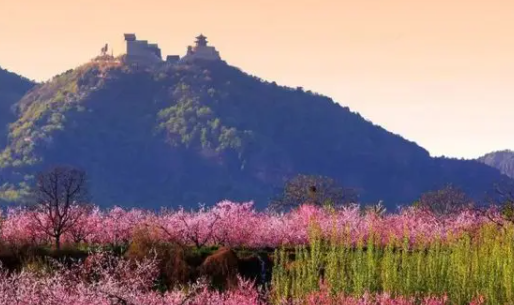 襄平融媒手机客户端下载