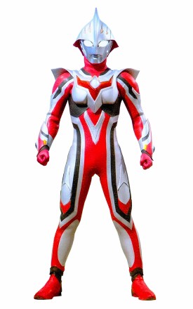 形态有哪些截图4