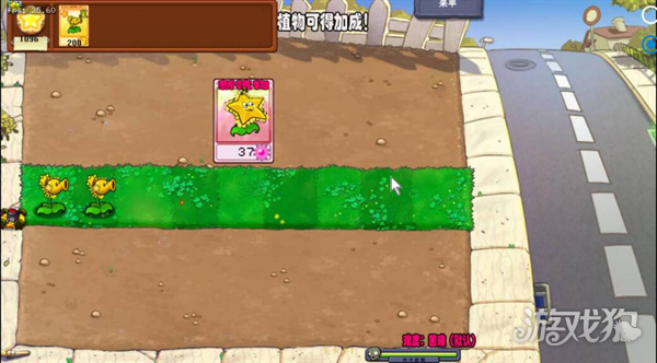 植物大战僵尸杨桃版游戏玩法3