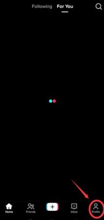 tiktok国际版解除限制版