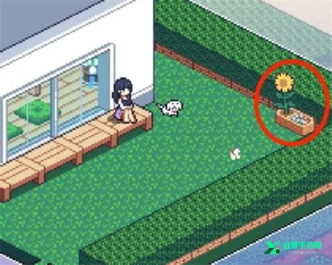 寻找夏日的宝物汉化版